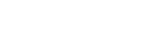 IT partners