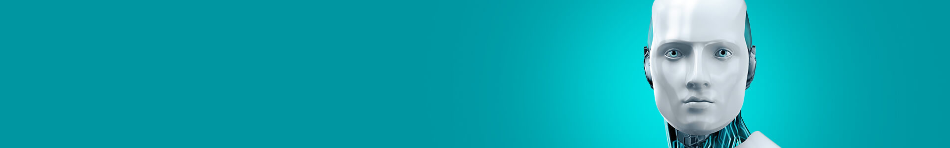 Security Solutions pour Business